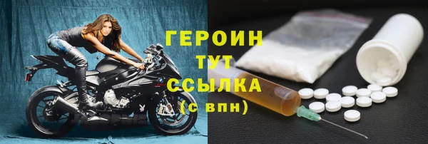 прущие грибы Новодвинск