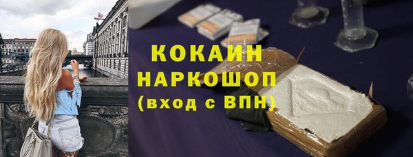 сатива Новокубанск
