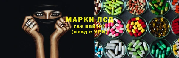 сатива Новокубанск