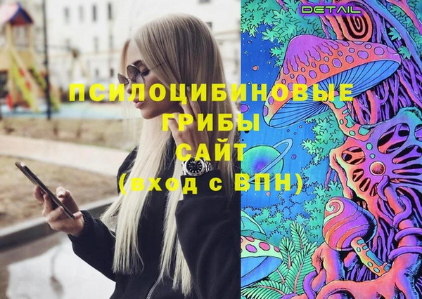 прущие грибы Новодвинск