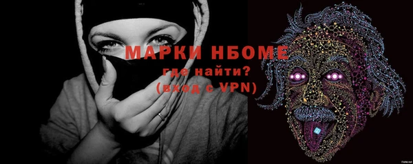 скорость Новозыбков