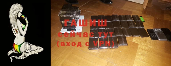 сатива Новокубанск