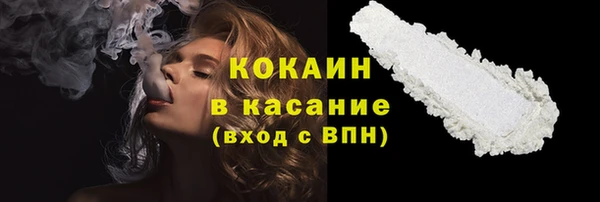 сатива Новокубанск