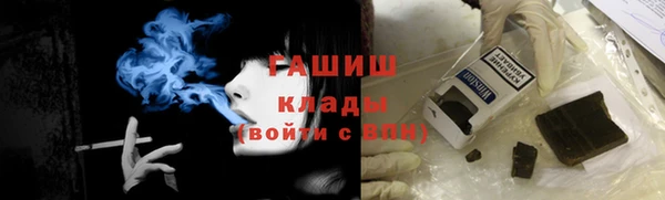 прущие грибы Новодвинск
