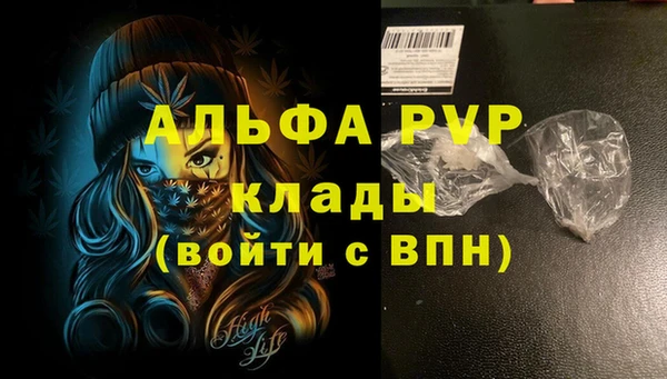 прущие грибы Новодвинск