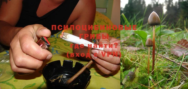 прущие крисы Няндома