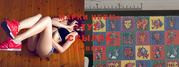 прущие крисы Няндома