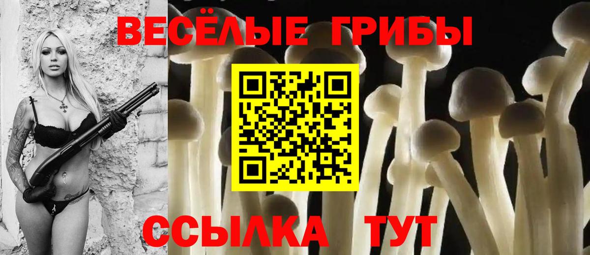 Псилоцибиновые грибы Psilocybine cubensis Краснотурьинск