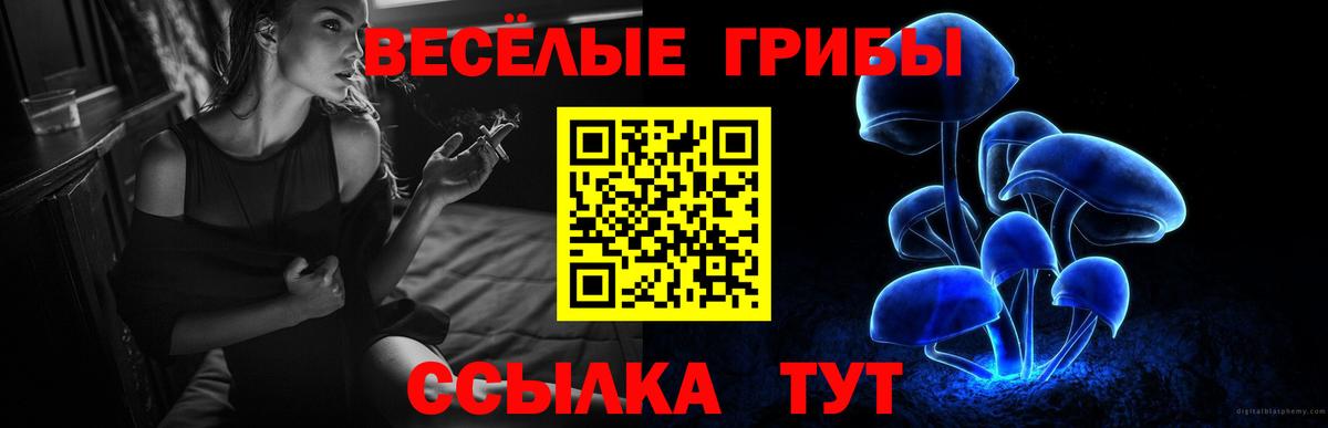 Краснотурьинск  Галлюциногенные грибы Psilocybine cubensis  Вход с VPN 